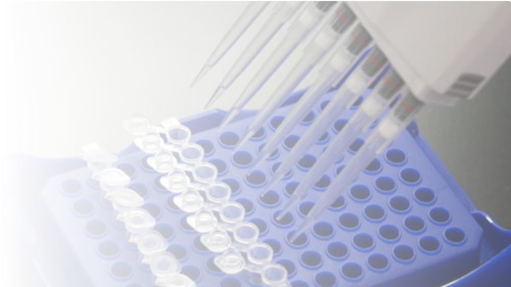 Bannar home analysis