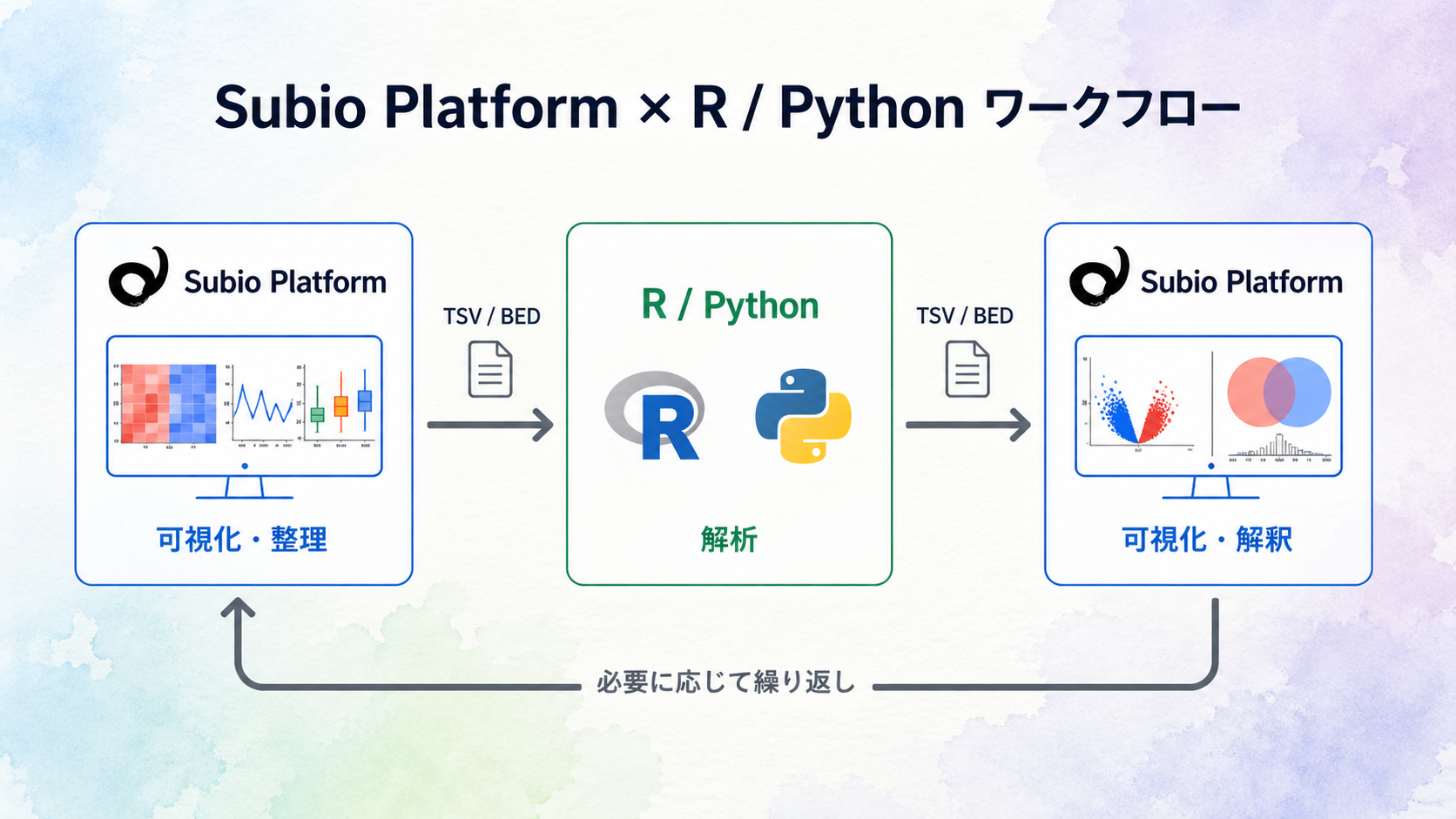 Subio Platform X R Python