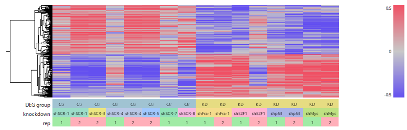 CaseStudy451: GSE95304 DEG heatmap without row scaling