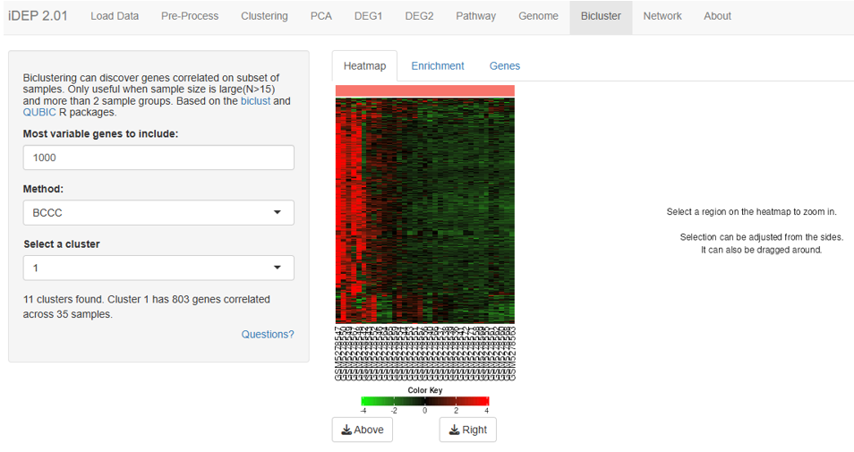 CaseStudy468 Fig10: DEGs heatmap